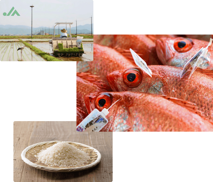 地産地消の米や海産物