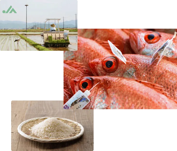 地産地消の米や海産物