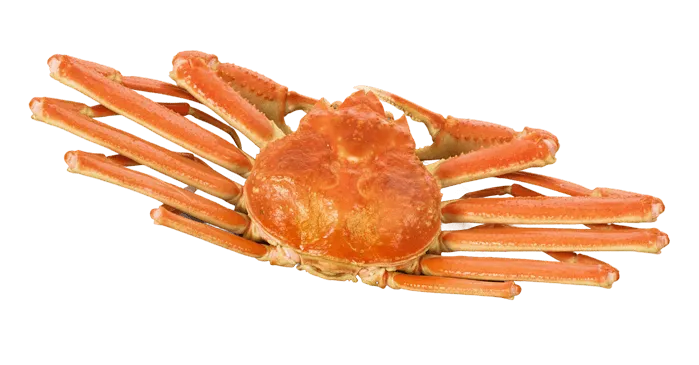 カニ