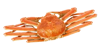 カニ